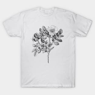 Wild Rose Flower T-Shirt